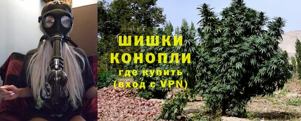 гашик Заводоуковск