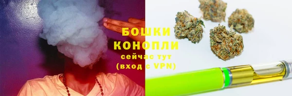 гашик Заводоуковск