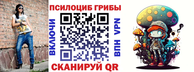 Купить где  Нововоронеж  Псилоцибиновые грибы Cubensis 