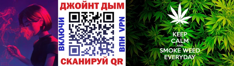 Купить закладки  Нововоронеж  Каннабис SATIVA & INDICA 